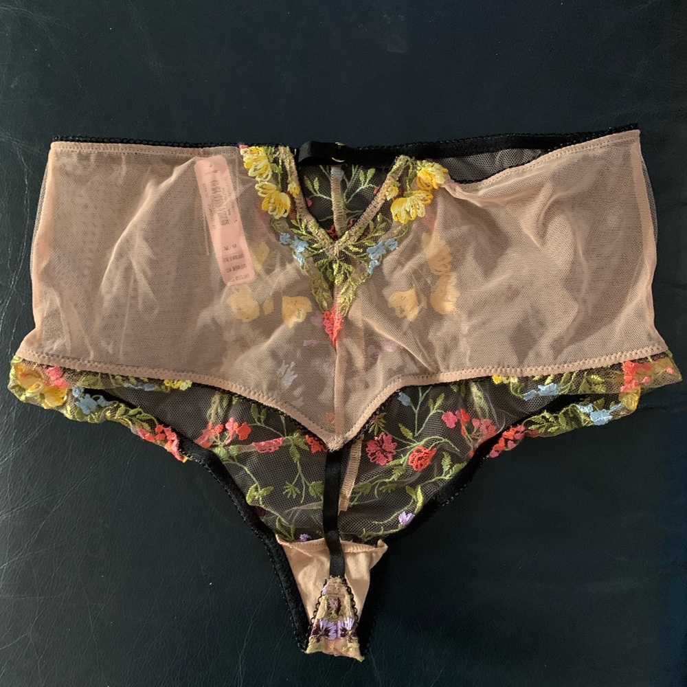 Victoria Secret Dream Angels Sweet Praline High Waisted Mesh Embroidered Thong - Picture 2 of 3